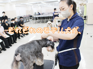 ２年生に向けて！先生の試技会♪②